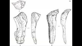 Kirsty Dingwall Mesolithic Milltimber [upl. by Czarra657]