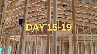 Building A House in 60 Days  Part 3 [upl. by Latimore]