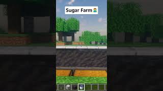 Minecraft Sugar Farm👩‍🌾 shorts minecraft [upl. by Cinemod]