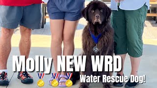 MOLLY EARNS HER WATER RESCUE DOG TITLE [upl. by Ok602]