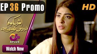 Drama  Shikwa Nahin Kissi Se  EP 36 Promo  Aplus  Shahroz Sabzwari Sidra Batool  C4M1 [upl. by Hewett]