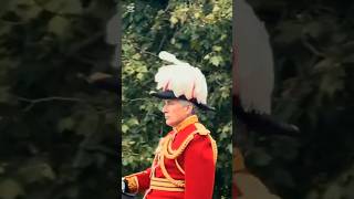 Respectful Royal Kings Guards respect history horseguard power police [upl. by Wier]