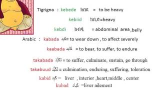 Tigrigna Arabic cognates trilateral root k b d [upl. by Nyloc]