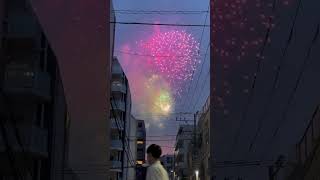 Sumidagawa fireworks [upl. by Onirotciv]