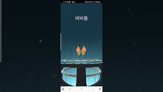 분떠도리 진화 비비용 포켓몬고 PokemonGo [upl. by Incrocci]