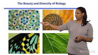 Kristala L J Prather MIT Part 1 Introduction to Synthetic Biology and Metabolic Engineering [upl. by Del]