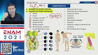 Semiología en Neurología [upl. by Ibloc244]