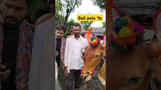 Bail pola status  bail pola festival  bail pola sajawat  bail pola shorts video [upl. by Gignac621]