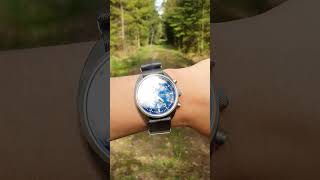 Citizen Flieger Eco Drive Chronograph in the Forest [upl. by Dewain587]