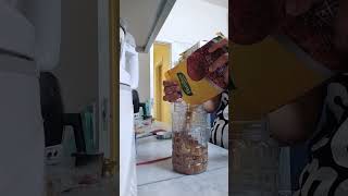 Minivlog 9  Pantry restock  Tamil working mom in Kuwait kuwaittamilvlogminivlog homedailyvlog [upl. by Aeli]