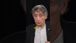 Gabor Maté The Undeniable Link Between Trauma and Terrorism [upl. by Butch]