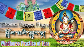 Windhorse Practice of Tara Lungta Flag Prayerསྒྲོལ་མའི་ཀླུང་རྟ།Tibetan Prayer FlagsBuddhism☸ [upl. by Tteragram]