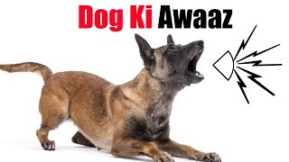 Kutte Ki Awaaz  Dog Ki Awaz  Kutta ka Bhokne Ka Awaz  Khatarnak Kutte Ki Awaj  Dog Voice Sound [upl. by Vogel]