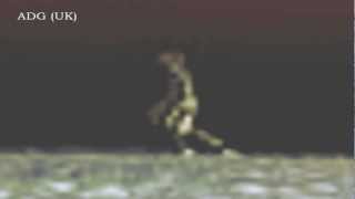 Huge Cloaked Alien Spotted In Taitung 2012 [upl. by Remas]