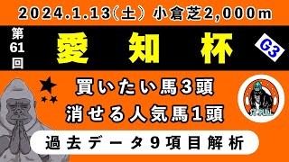 【愛知杯2024】過去データ9項目解析買いたい馬3頭と消せる人気馬1頭について競馬予想 [upl. by Eille]