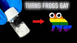 This Banned Herbicide Is Turning Frogs Gay [upl. by Peggir]