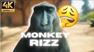 Rizz Monkey 4k 60FPS [upl. by Priebe446]