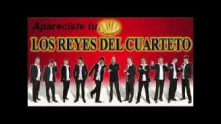 Los reyes del cuarteto Apareciste tu [upl. by Pepper]