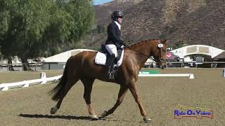 242D Lisa Sabo on Summerwood Clover Rua Novice Horse Dressage Galway Downs Nov 2024 [upl. by Aerbua654]