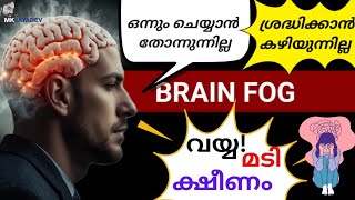 ജോലിയെടുക്കാൻ തോന്നാത്തതിന്റെ കാരണം Brain Fog ആയിരിക്കാം  Tips to Clear Brain Fog Malayalam [upl. by Eidorb]