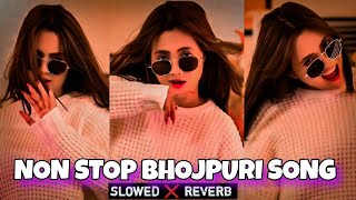 Non stop bhojpuri slowed reverb song  non stop bhojpuri songBhojpuri song mashup slowed and reverb [upl. by Dareece383]