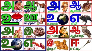 Tamil alphabet and vowelamma aadua aa e eeuyir ezhuthukkal ari suvadi  Adi Padai Tamil [upl. by Carman280]