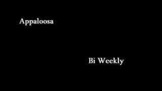 appaloosa  bi weekly [upl. by Iew]