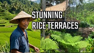 Bali Enchanting Tegallalang Rice Terraces Paradise [upl. by Quigley655]