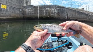 Free Fishing Day in Tennessee Center Hill Dam [upl. by Thackeray]