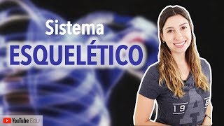 Sistema Esquelético 15 Introdução  Anatomia e etc [upl. by Boycey940]