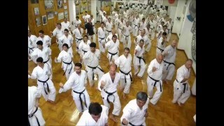 Nuestros katas Shin Shu Kan 3° parte [upl. by Lesab]