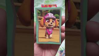 Opening Booster Pochette Panini Paw Patrol La PatPatrouille Best of Panini 53 [upl. by Bac]