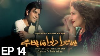 Yeh Mera Deewanapan Hai  Episode 14  ATV  Top Pakistani Dramas  XA1 [upl. by Adieno297]