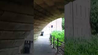 Underneath one of Shrewsburys famous bridges travel history tour shrewsbury [upl. by Aderf850]