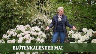 Blütenkalender Mai  Pfingstrosen Flieder Schneeball Rhododendron Storchschnabel [upl. by Art]