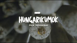 Hungarikumok  PICK Téliszalámi [upl. by Aiket]