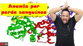 Anemia Por Perda Sanguínea e Anemia Microcítica Hipocrônica  Tipos de Anemia  Sangue  Fisiologia [upl. by Annamarie]