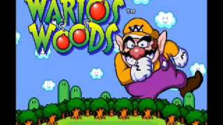 Warios Woods SNES Music  Time Trial [upl. by Arytahs]