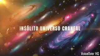 Nuestro Insólito Universo Craneal emprendimiento emprendedores creadordigital creatorstudio [upl. by Bloomer]