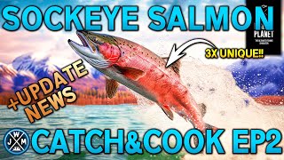 UNIQUE SOCKEYE SALMONCatchampCookon Kaniq Creek Alaska in Fishing Planet [upl. by Eppes]