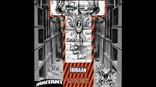 Irritant Sounds  Tribaan Hardtekno tribe Live set [upl. by Lamoureux]