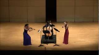 Brevard First Mondays DOHNANYI Serenade for Trio in C Major Op 10 [upl. by Eldreeda]