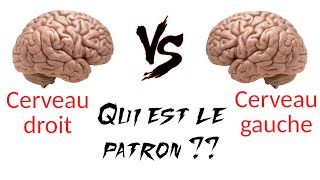 Cerveau droit  cerveau gauche  pourquoi la distinction  LDDC6 [upl. by Ellessig]