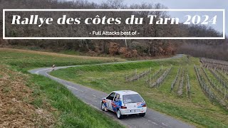 Rallye des Côtes du Tarn 2024  FULL ATTACKS [upl. by Kolodgie]