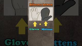 Know the difference between GLOVES and MITTENS generalnowledge learnenglish shortsviral youtube [upl. by Bernetta]