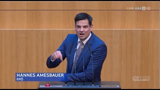 Hannes Amesbauer  Asylstraftäter sofort abschieben  Volksbegehren  2822024 [upl. by Akina]