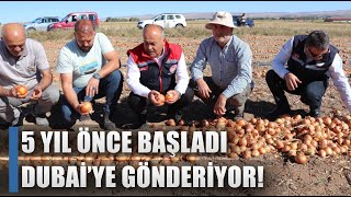 5 Yıl Önce Üretime Başladı Dubaiye Gönderiyor Verim Yüzleri Güldürdü  AGRO TV HABER [upl. by Patrica]