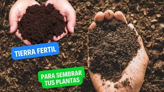 Como preparar tierra fértil para sembrar plantas frutales [upl. by Petronilla214]