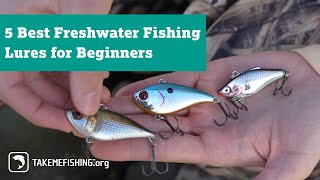 5 Best Freshwater Fishing Lures for Beginners [upl. by Aurelea]