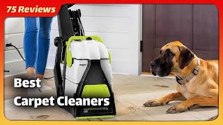 5 Best Carpet Cleaners 2024 Resurrect Your Rugs [upl. by Lassiter]